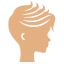 Icon 1